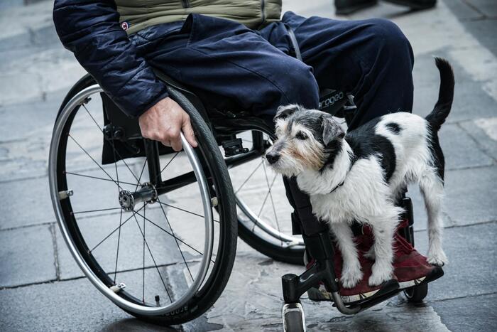 Anffas, Garante disabilità indipendente per assicurare i diritti