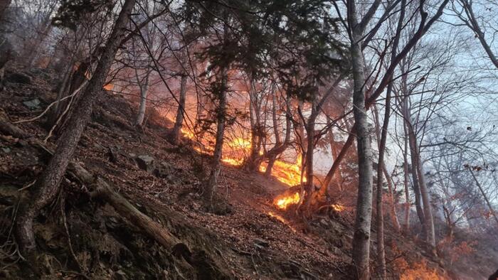 Miniciccioli causano incendio sul Monte Moro: commerciante