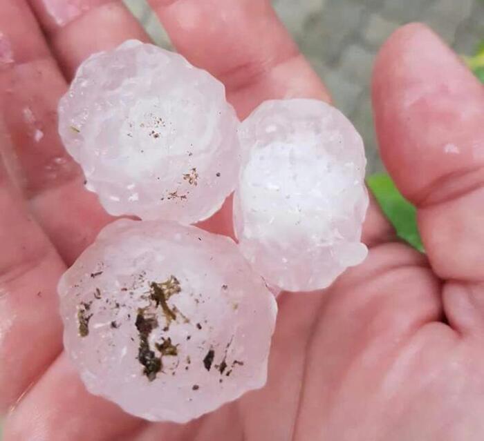 Maltempo In Trentino Iniziata Conta Danni Alle Coltivazioni Notizie