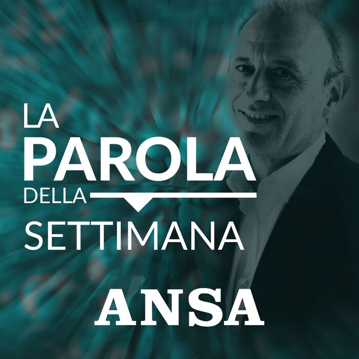 Caos (seconda parte) – La parola della settimana – Ansa.it