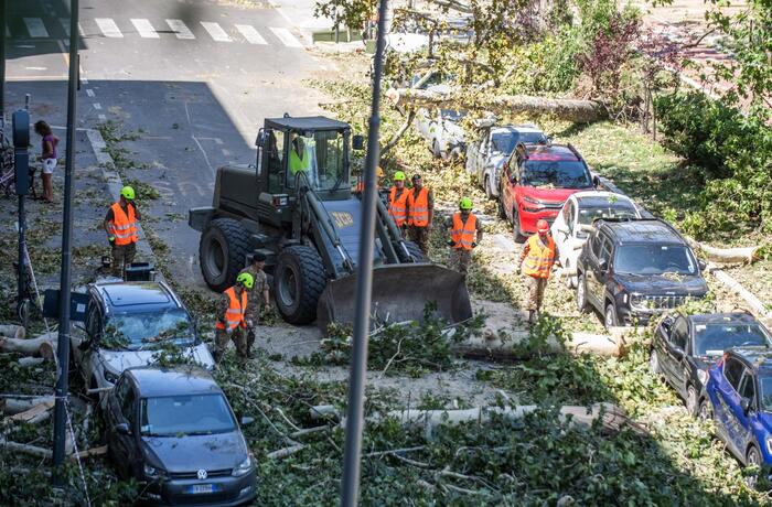 A Milano ancora oltre 700 zone con alberi o rami da trattare – Notizie