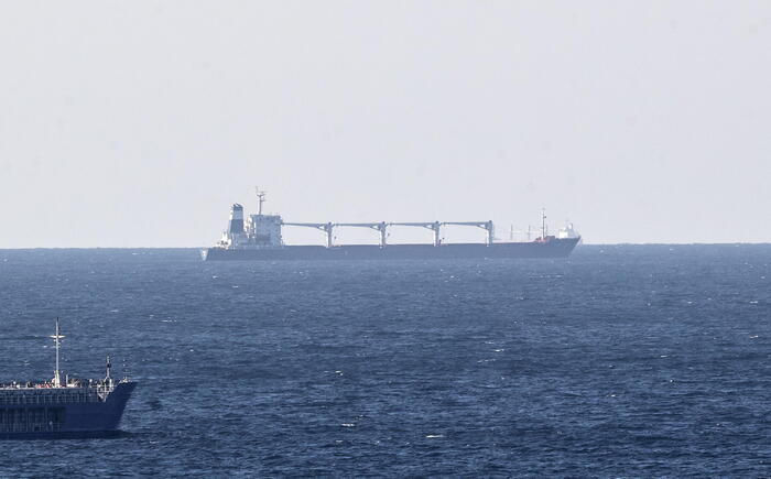 Stop in Libano a nave con grano rubato