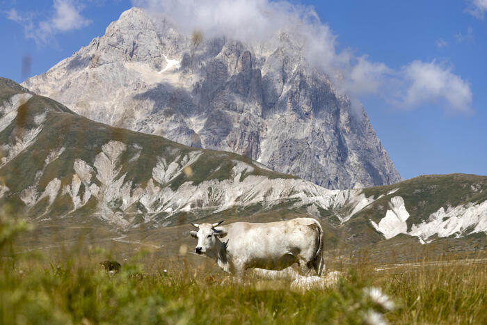 Climber falls and dies on Gran Sasso