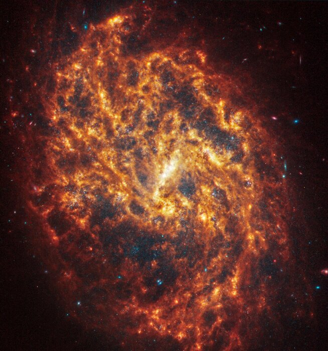 La galassia NGC1087 (fonte: NASA, ESA, CSA, STScI, J. Lee (STScI), T. Williams (Oxford), R. Chandar (UToledo), PHANGS Team) RIPRODUZIONE RISERVATA 