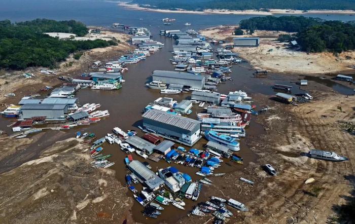 Con i fiumi a secco è boom di pesca illegale in Amazzonia – Notizie – Ansa.it