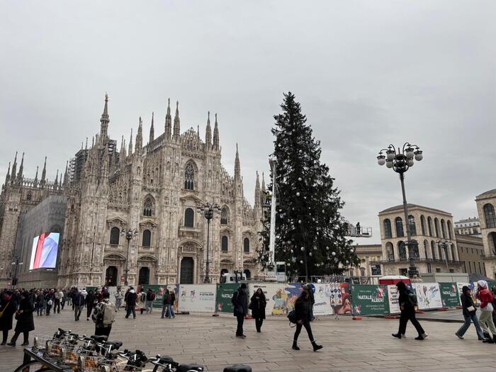 A Milano Natale con 27 alberi nel segno dei Giochi 2026