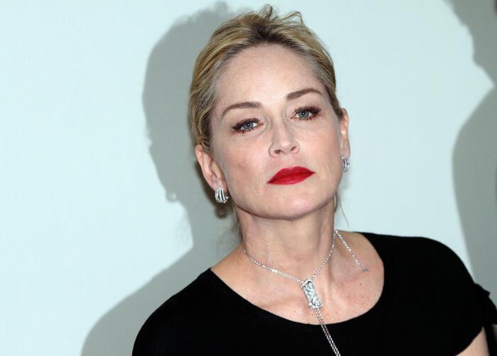 Sharon Stone e Matthew Broderick al Torino Film Festival