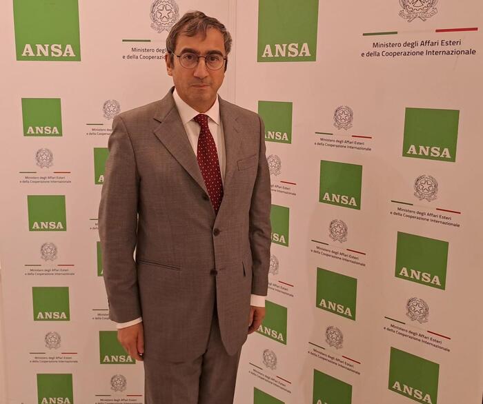 Amb Peronaci La Nato Cornice Di Sicurezza Di Cui C Bisogno News Dalle Ambasciate Ansa It