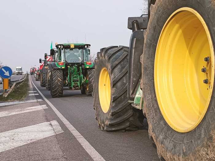 ESTERI Multati per 338 milioni di euro 21 produttori tedeschi di würstel -  Alimentando