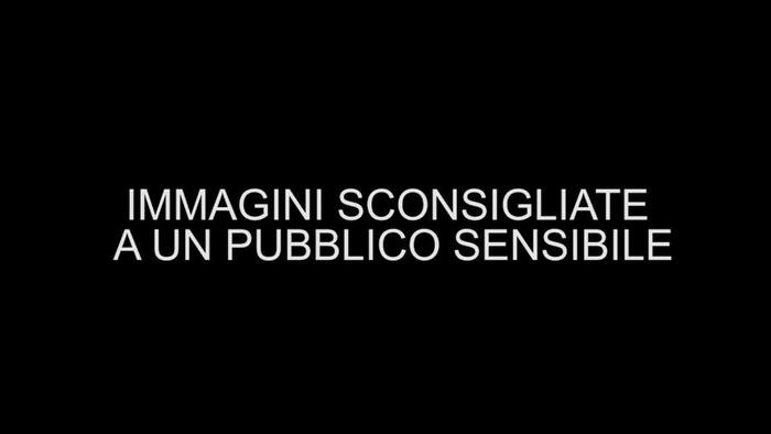 Napoli, muore il cane e assaltano dipartimento veterinaria Federico II – Italia – Ansa.it