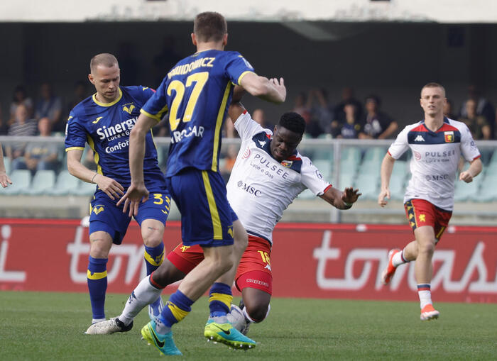 Serie A, in campo Cagliari-Atalanta 0-1 e Verona-Genoa 1-0 DIRETTA e FOTO – Calcio – Ansa.it