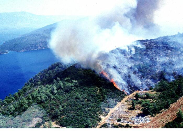 Cinque morti e decine di feriti per gli incendi in Turchia