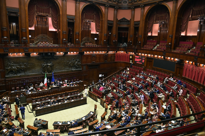 Câmara aprova Decreto-Lei das Matérias-Primas – última hora