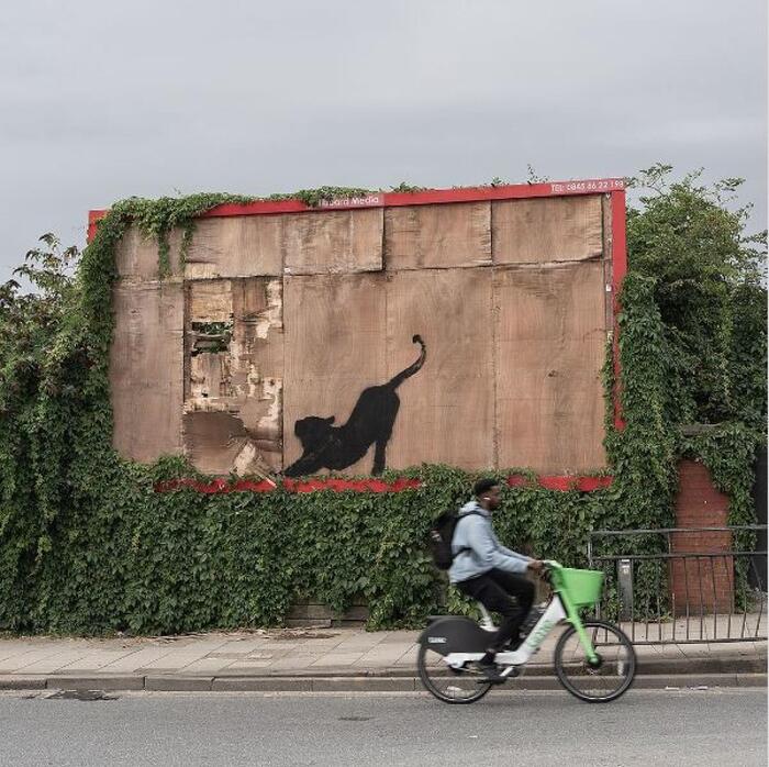 Banksy, nel sesto giorno  spunta la Leonessa Incatenata – Arte – Ansa.it