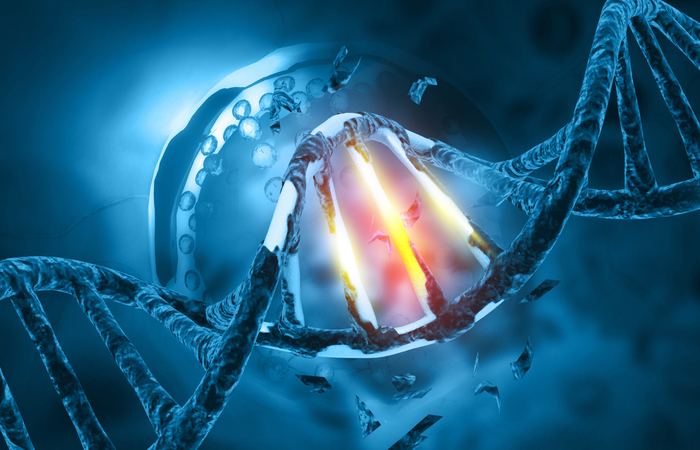 Rappresentazione artistica di un frammento di Dna danneggiato (fonte: Rasi Bhadramani, iStock)   RIPRODUZIONE RISERVATA 