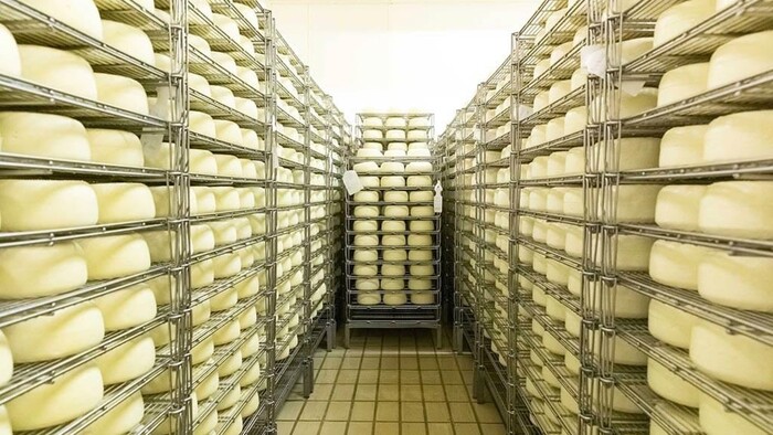 From parmesan to pecorino, the Chinese war on cheese is terrifying – News – Ansa.it