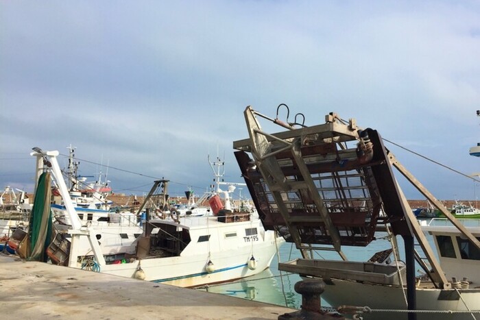 Pesca: sostegno economico da Regione a settore vongolari - Notizie - Ansa.it