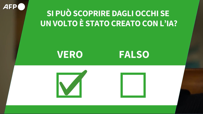 ANSA VERIFIED – Si puo’ scoprire dagli occhi se un volto e’ stato creato con l’IA? – Mondo – Ansa.it