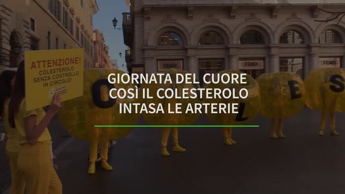 Colesterolo, a Roma uno “show” per mostrare i danni che fa – Italia – Ansa.it