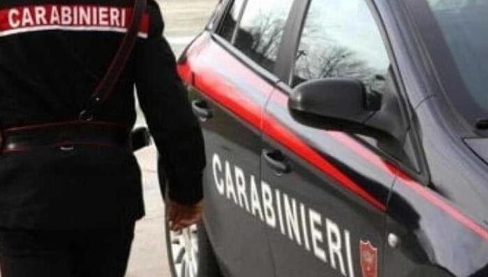 Accoltella i genitori e tenta il suicidio nel Maceratese – Notizie – Ansa.it