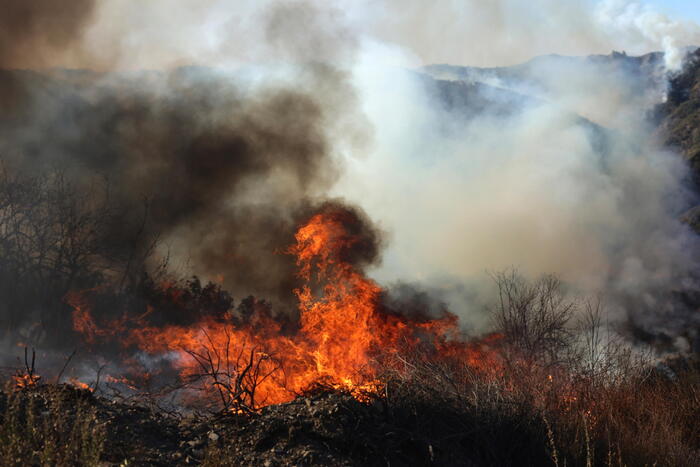 Almeno sei incendi a Los Angeles, 11 morti