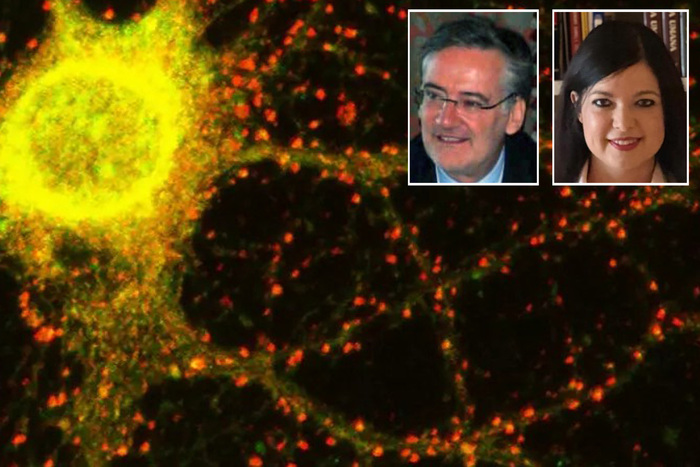 Molinette chief hails Italian Alzheimer breakthrough