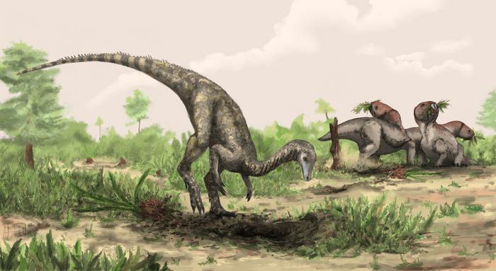 I resti dei primi dinosauri potrebbero essere in Amazzonia