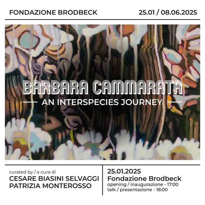 Barbara Cammarata in mostra alla Fondazione Brodbeck