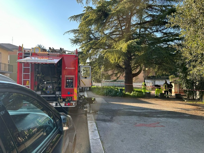 Woman's charred body found near Teramo