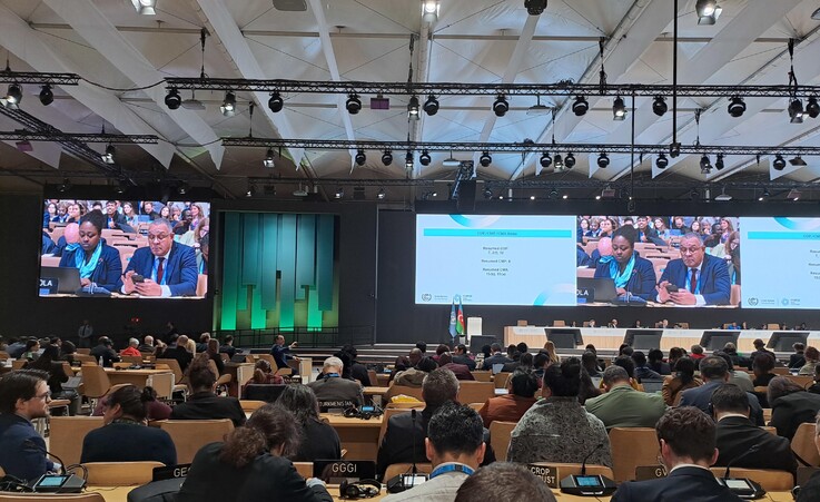 ++ Cop29 approva il mercato internazionale del carbonio ++ © ANSA