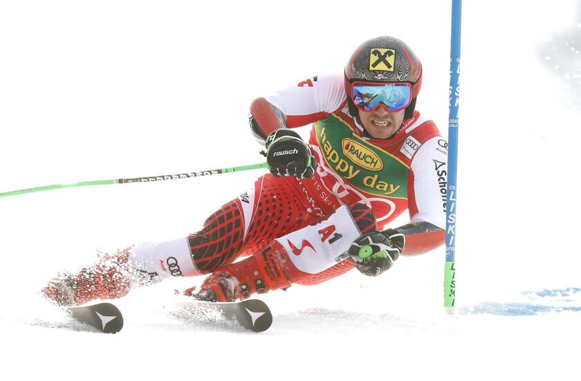 Alpine Skiing Giant Slalom Men