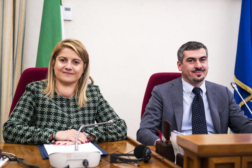 Audizione della sottosegretaria per gli Affari Esteri Maria Tripodi in Commissione Esteri della Camera dei Deputati - RIPRODUZIONE RISERVATA