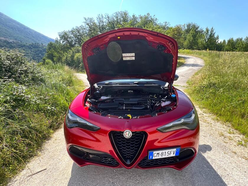 Alfa Romeo Stelvio: la prova della Q4 Veloce 2.0 turbo - La Prova di ANSA  Motori 