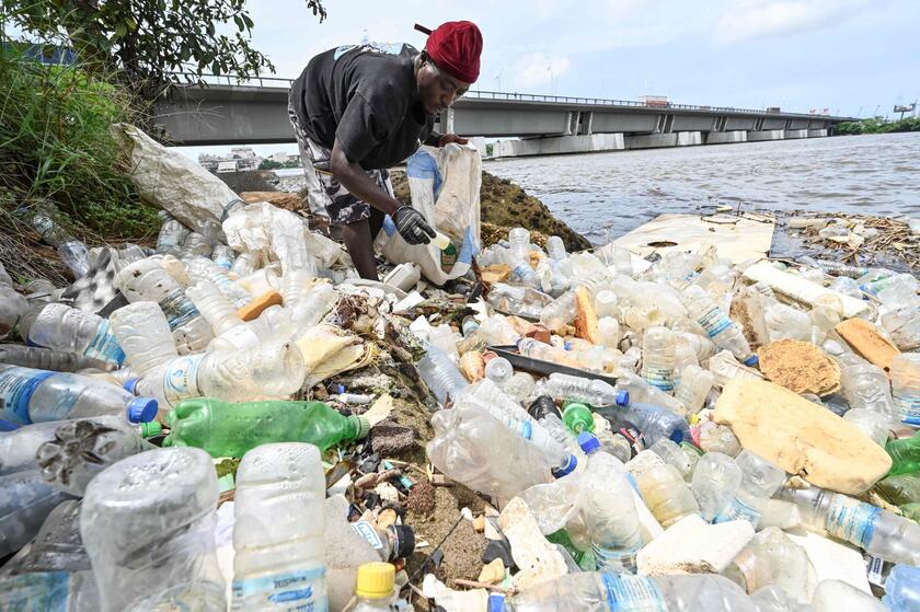 Environment Day © ANSA/AFP