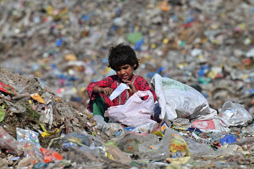 Environment Day © ANSA/AFP