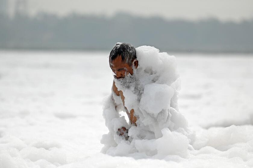 Environment Day © ANSA/AFP