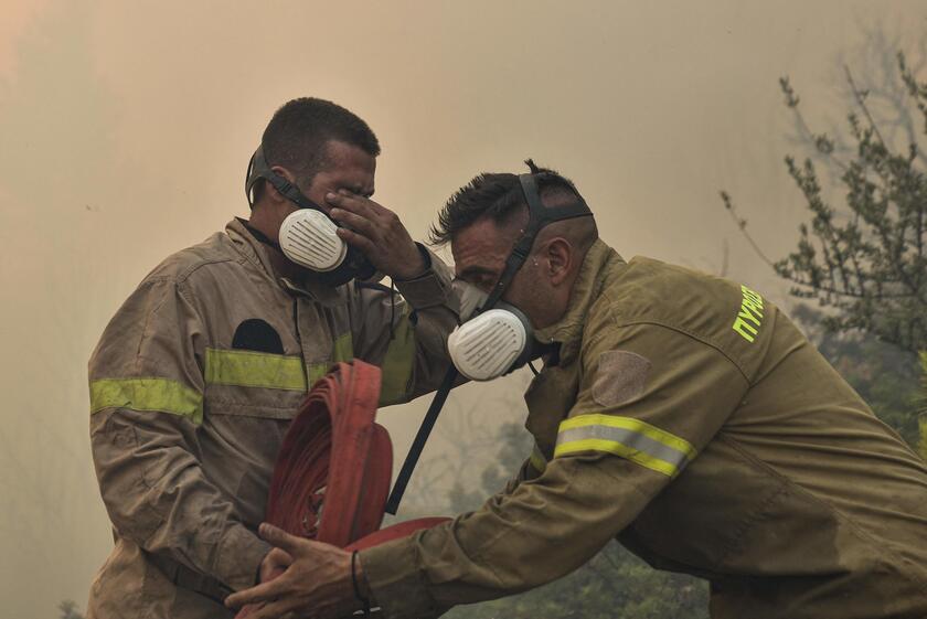 Emergenza Incendi In Grecia I Vigili Del Fuoco In Lotta Contro Le