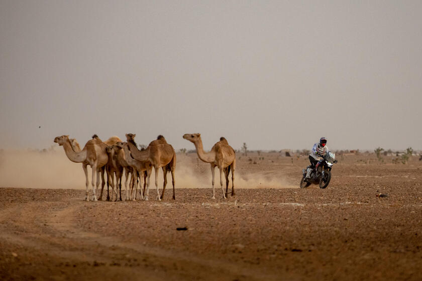 Aprilia Tuareg è la  'regina ' dell 'Africa Eco Race - RIPRODUZIONE RISERVATA