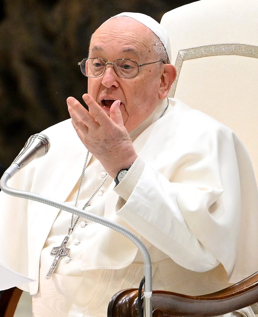 Pope Francis ' weekly general audience - RIPRODUZIONE RISERVATA