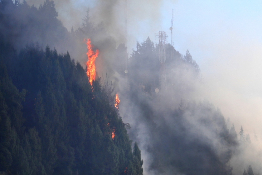 A fire in the eastern hills of Bogota - RIPRODUZIONE RISERVATA