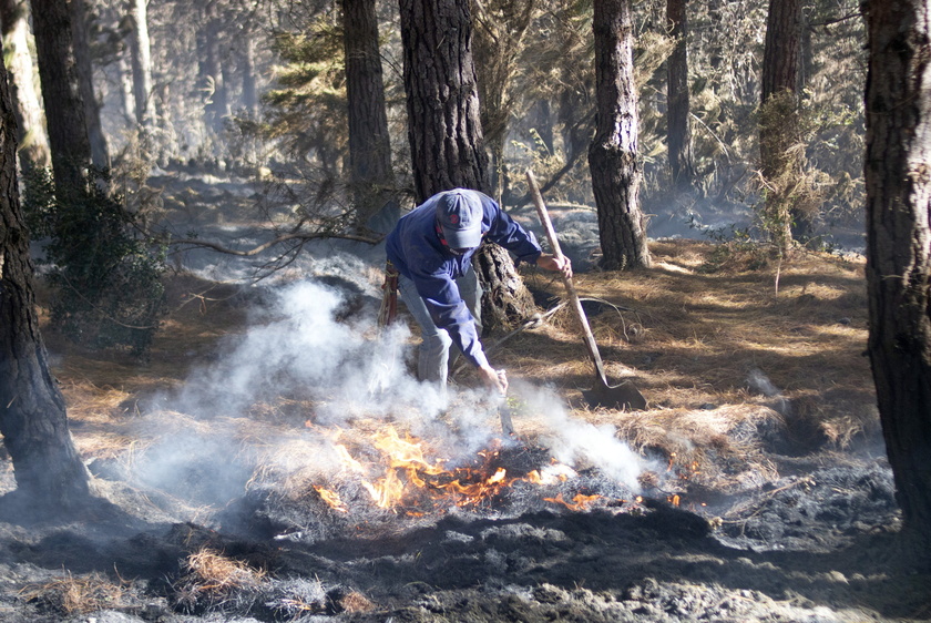 Fire consumes dozens of hectares in Colombian moorland crucial for drinking water - RIPRODUZIONE RISERVATA