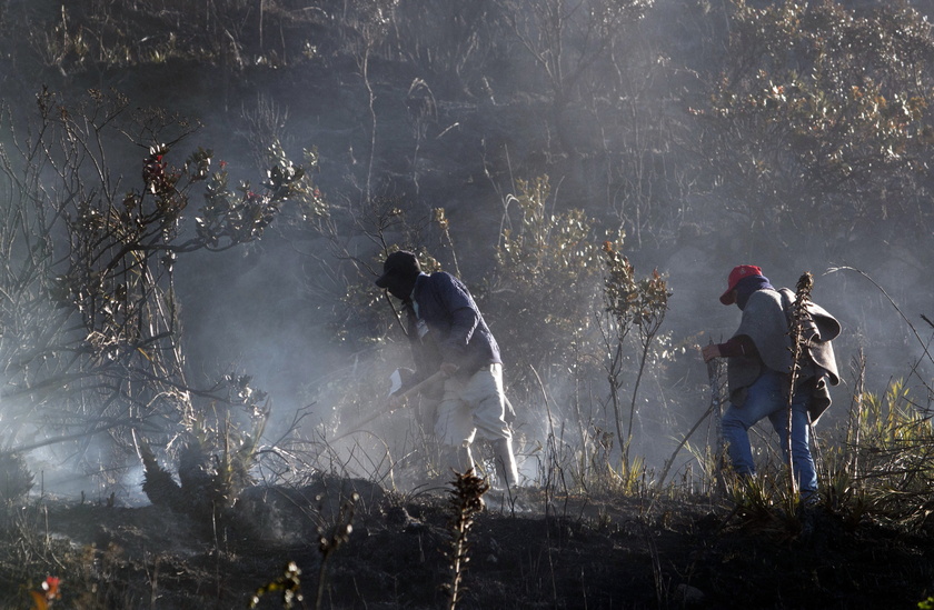 Fire consumes dozens of hectares in Colombian moorland crucial for drinking water - RIPRODUZIONE RISERVATA