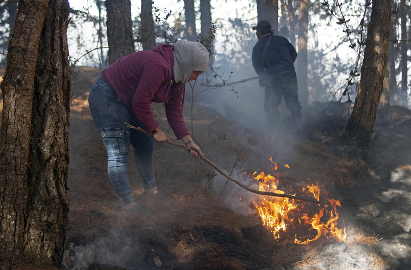 Fire consumes dozens of hectares in Colombian moorland crucial for drinking water - RIPRODUZIONE RISERVATA