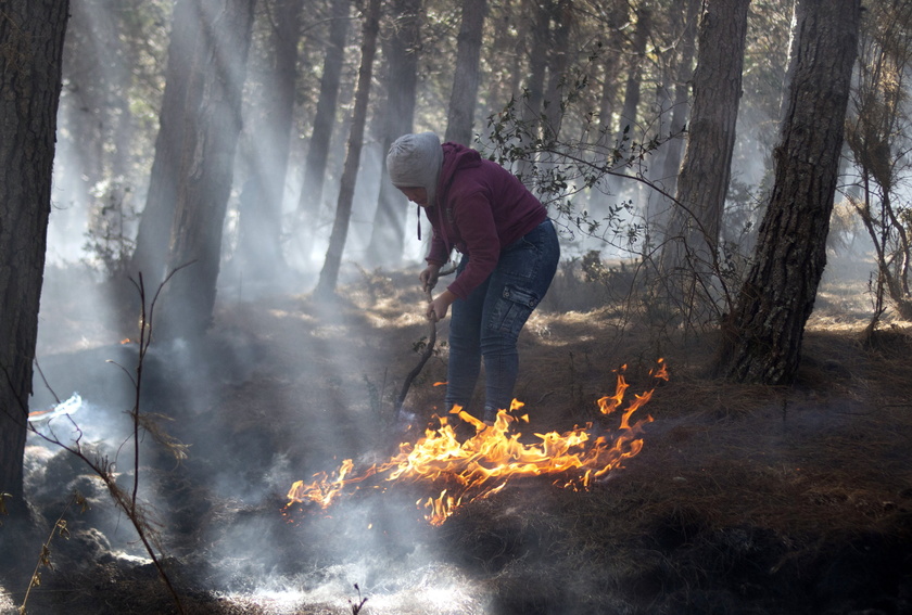 Fire consumes dozens of hectares in Colombian moorland crucial for drinking water - RIPRODUZIONE RISERVATA