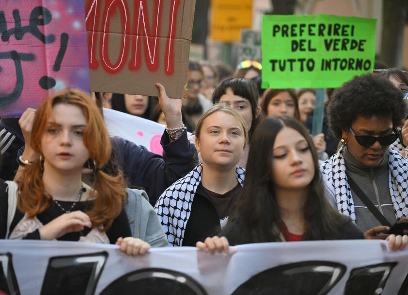 Greta Thunberg, attivisti del clima lottino anche per Palestina