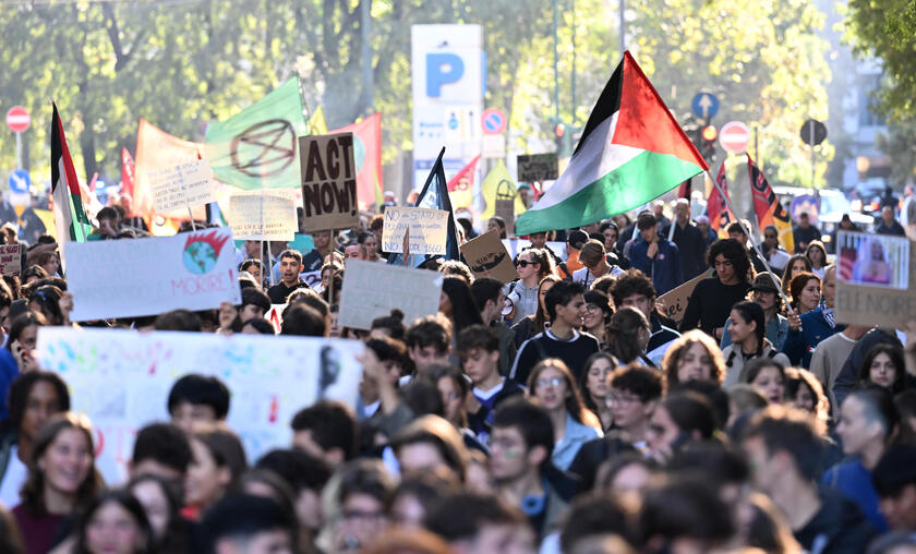 Greta Thunberg, attivisti del clima lottino anche per Palestina