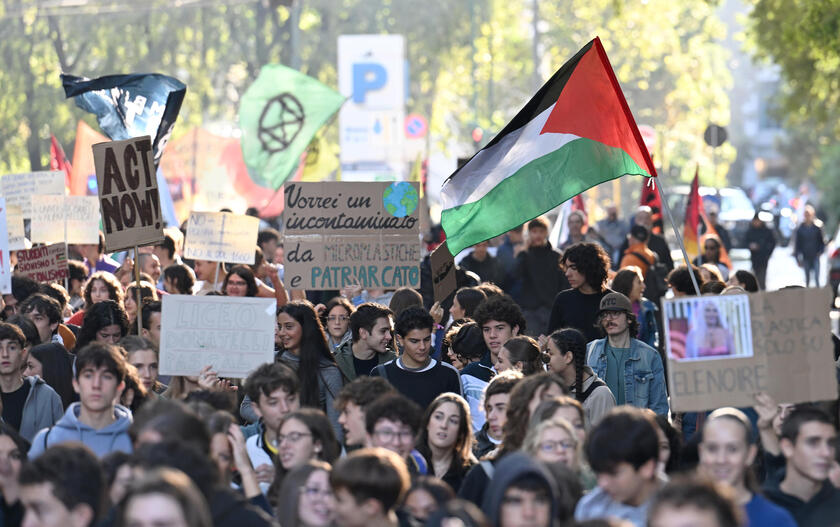 Greta Thunberg, attivisti del clima lottino anche per Palestina