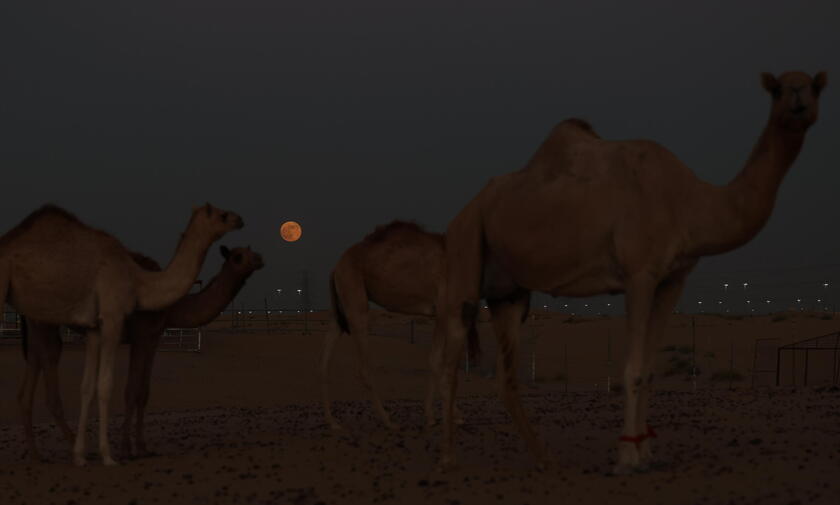 Supermoon rises over Dubai