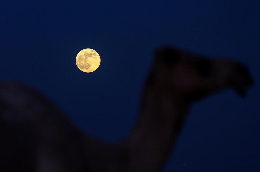 Supermoon rises over Dubai