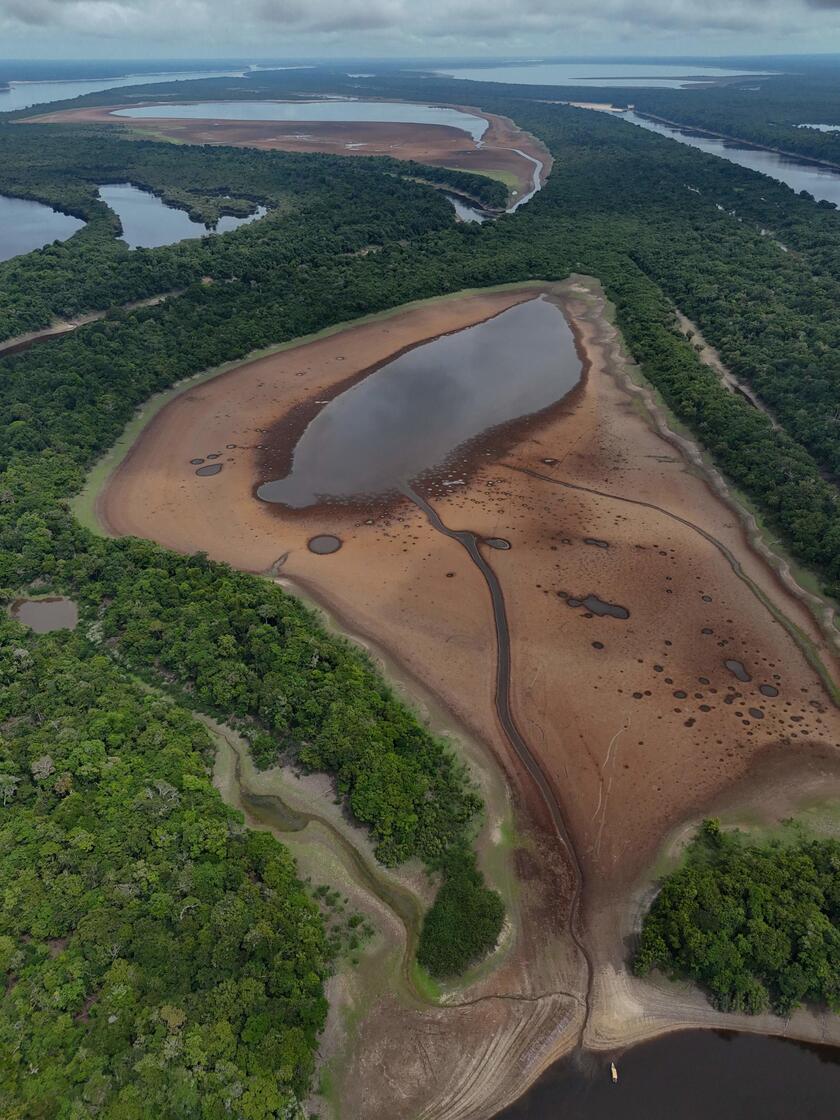 Siccita' colpisce l'Amazzonia